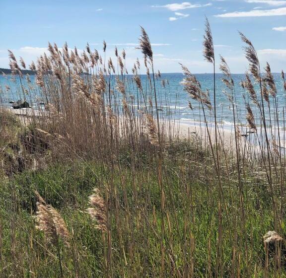 Отель Toftagården