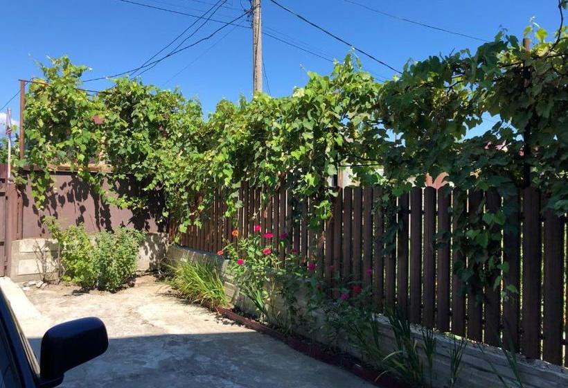 پانسیون гостевой дом алиса