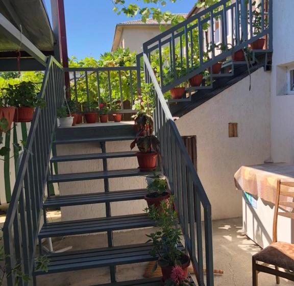 پانسیون гостевой дом алиса