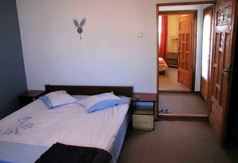 Пансион Casa Oana