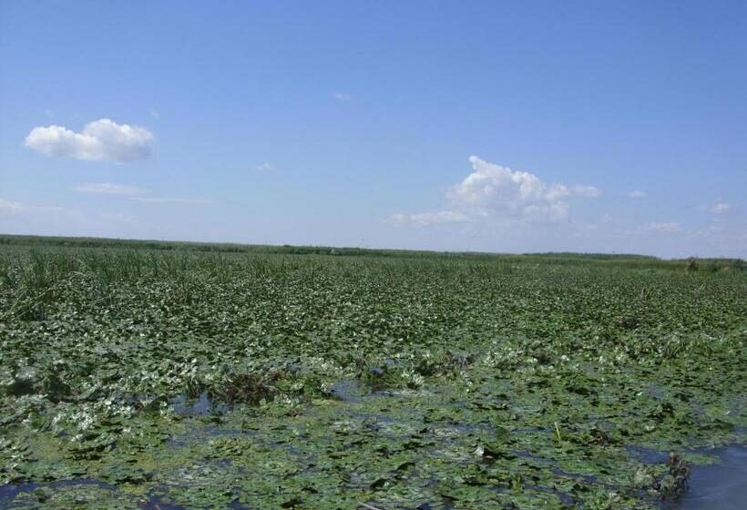 Пансион Casa Oana