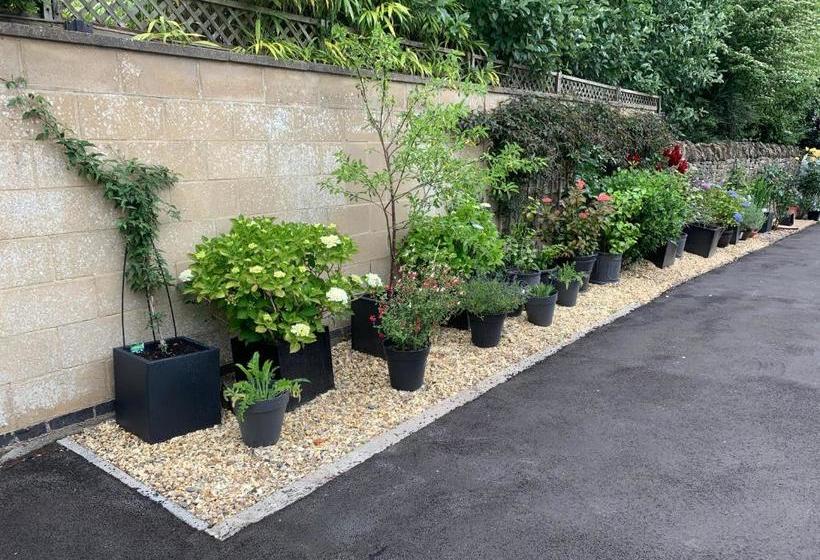 بنسيون Cotswold Hare