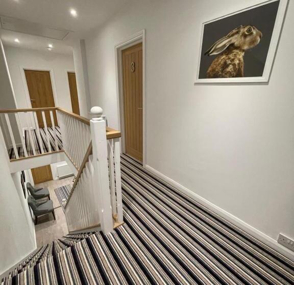 بنسيون Cotswold Hare