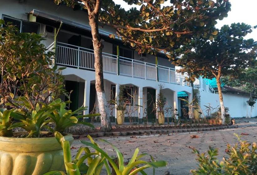 بنسيون Pousada Anturio