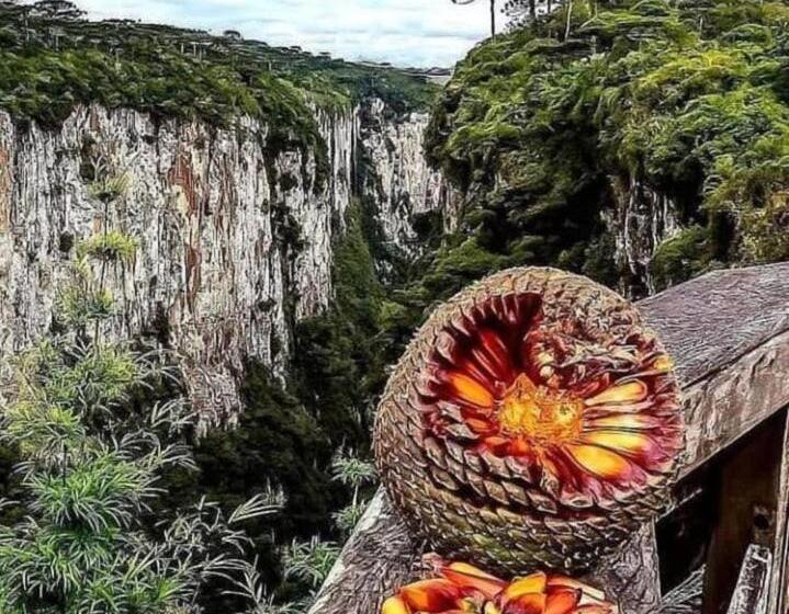 بنسيون Pousada Encanto Dos Cânions