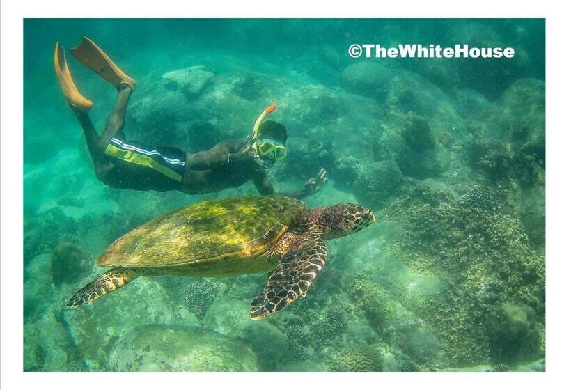 Pension The White House