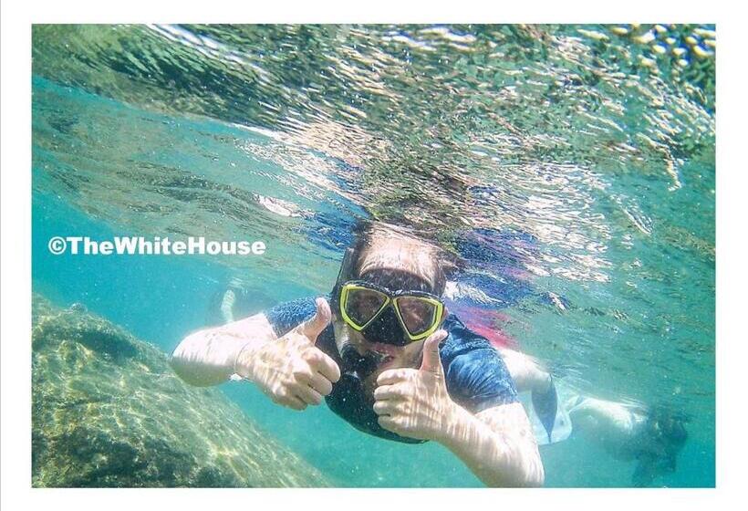 Pension The White House