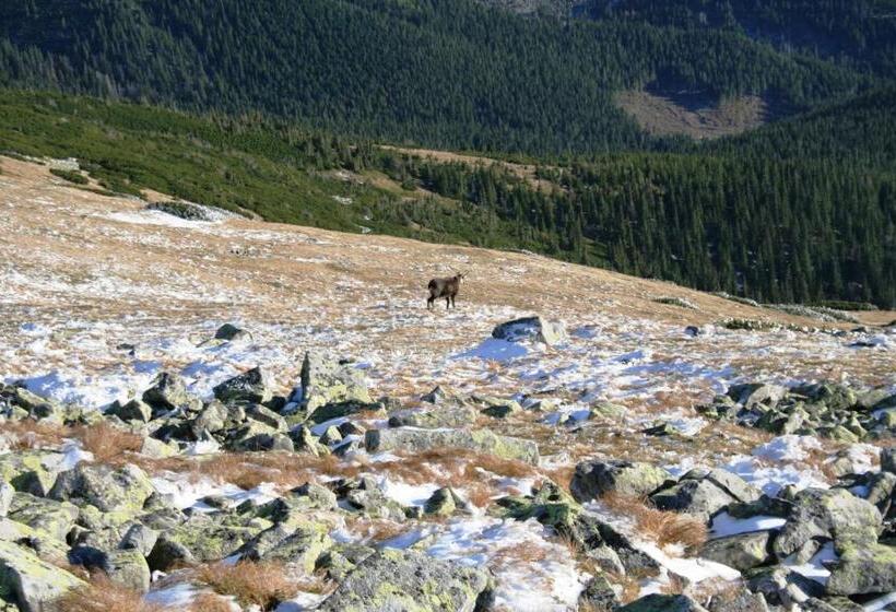 리조트 Ski & Wellness Residence Družba