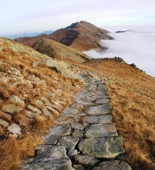 리조트 Ski & Wellness Residence Družba