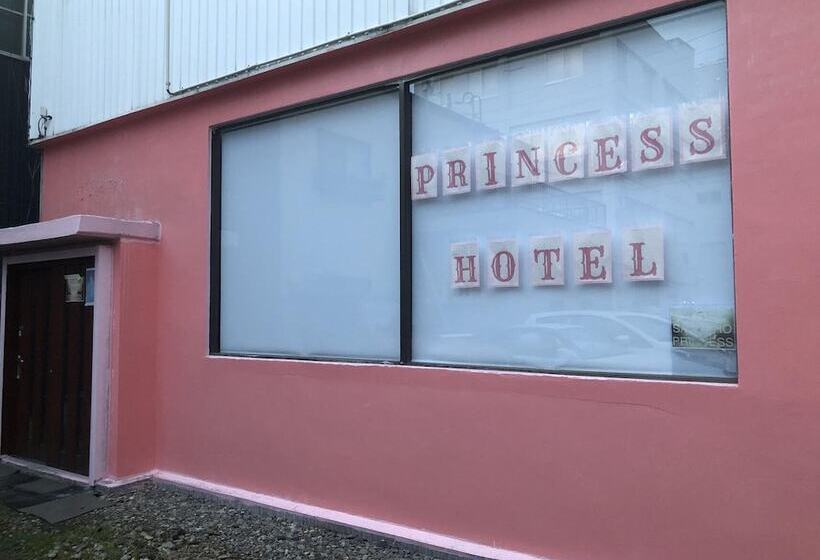 Sapporo Princess Hotel   Hostel