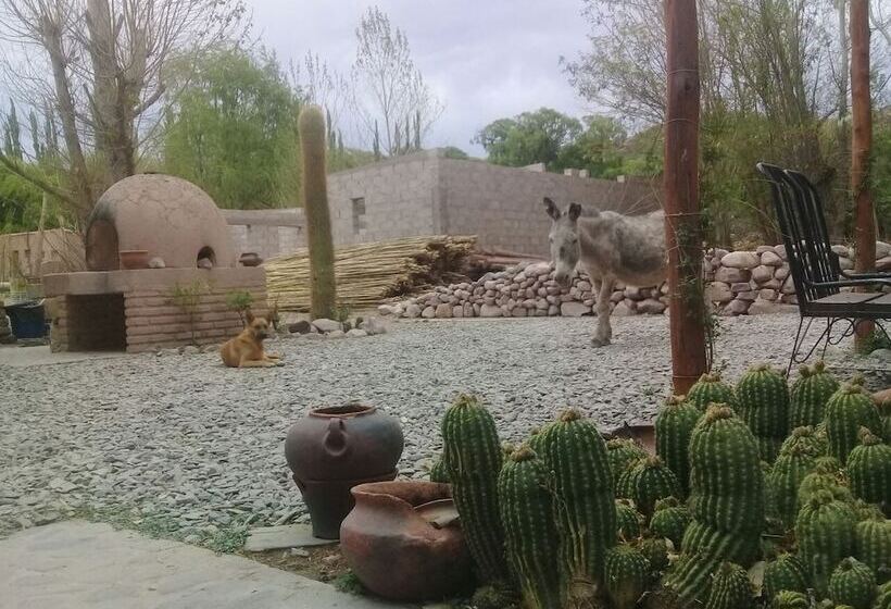 ユースホステル Azul Humahuaca Hostal