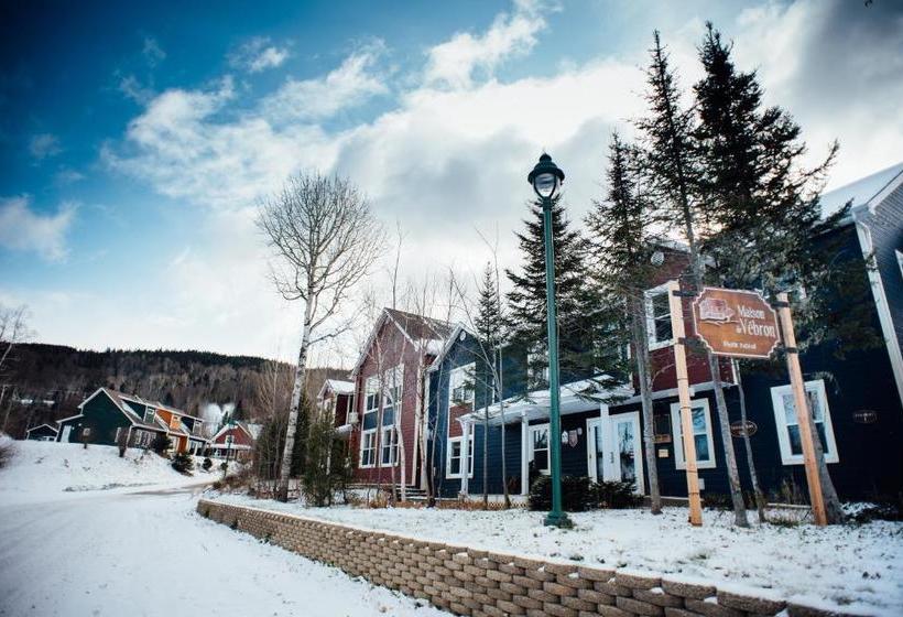 호스텔 Maison De Vébron