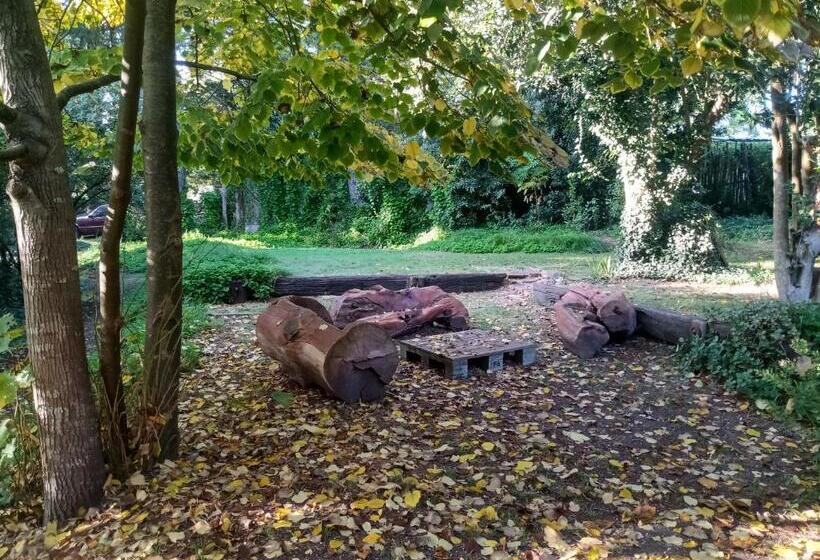 هاستل Posada A Viagem