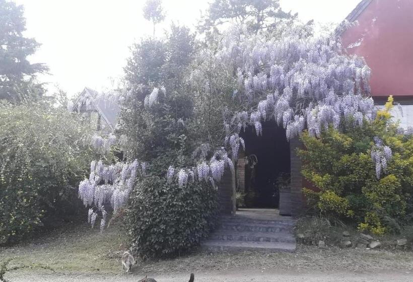 هاستل Posada A Viagem