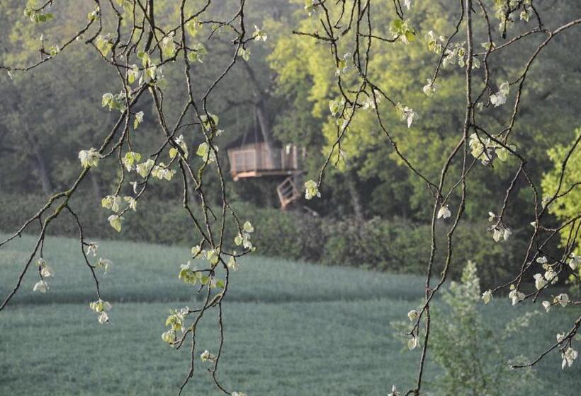 Bed And Breakfast   Château Du Vau