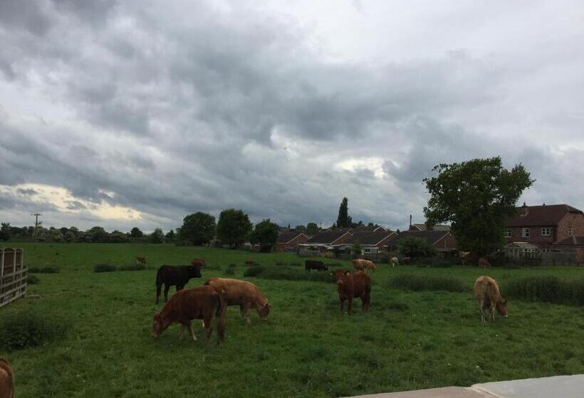 مبيت وإفطار Fir Tree Barn