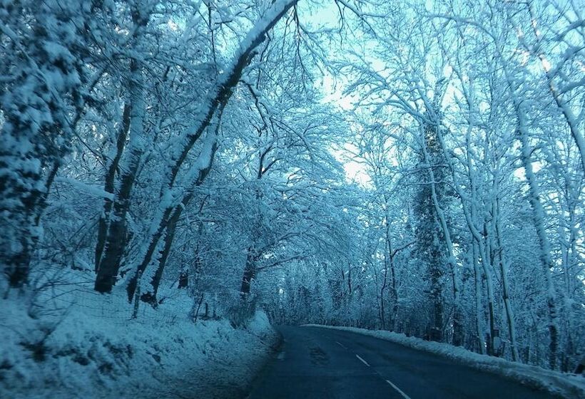 Bed and Breakfast The Old School House
