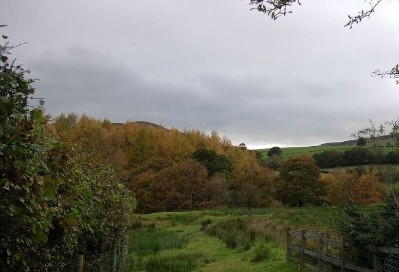 مبيت وإفطار The Old School House