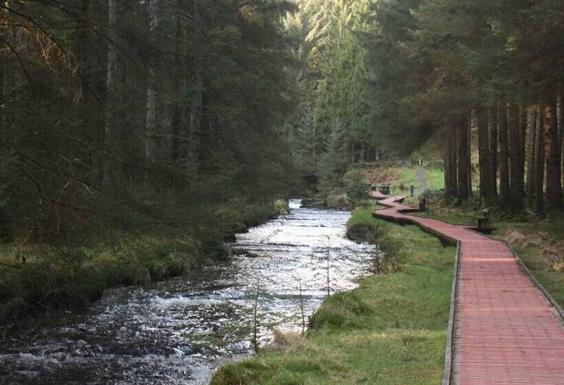 مبيت وإفطار The Old School House