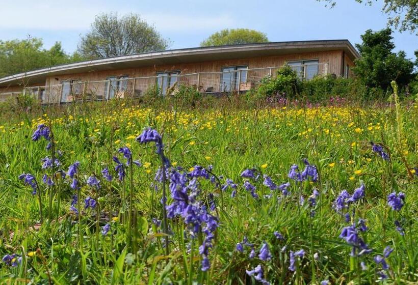 Bed and Breakfast The Sanctuary Cornwall