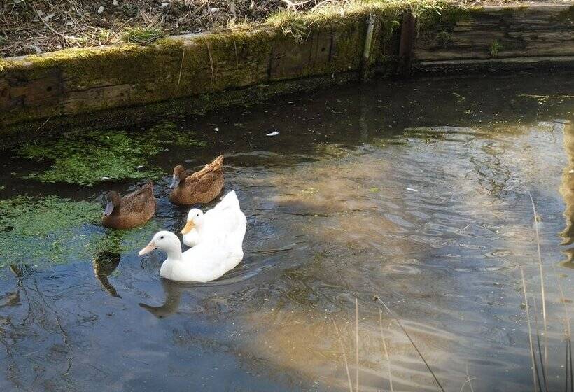 Blaencwm Bed And Breakfast