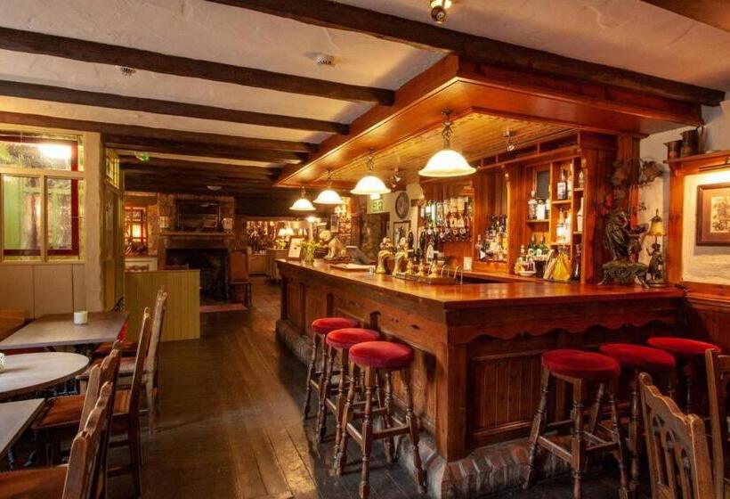 فندق فئة نجمة واحدة The Tankerville Arms