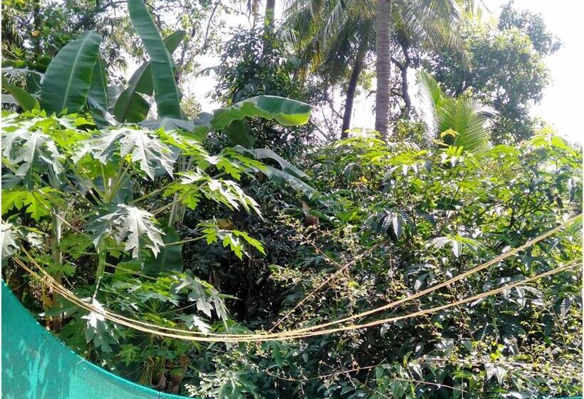 فندق Aym Yoga Resort Arambol Goa