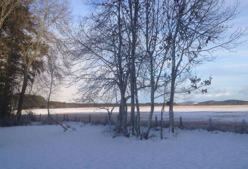 Отель Black Isle Lodge