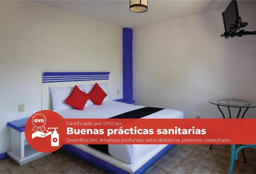 ホテル La Morada Del Xolo Pet Friendly