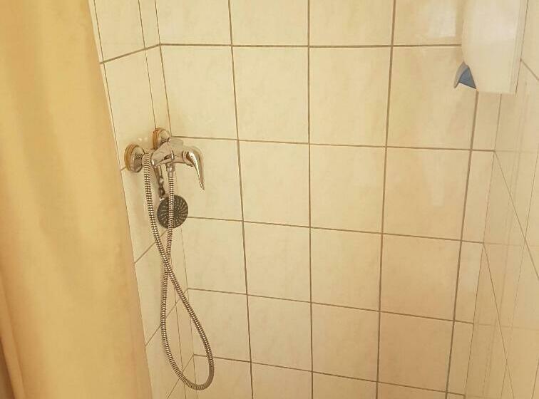 בית מלון כפרי Le Gîte Les Melezes