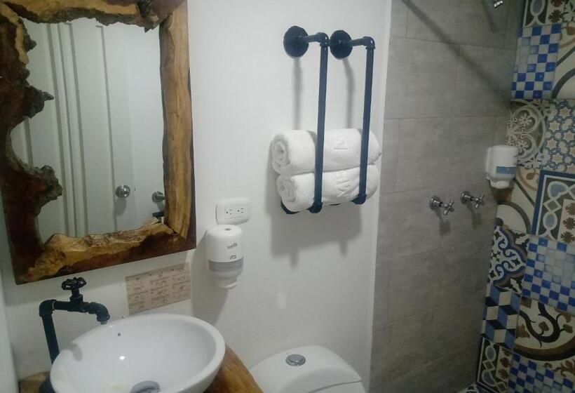 酒店 Momotus Cocora