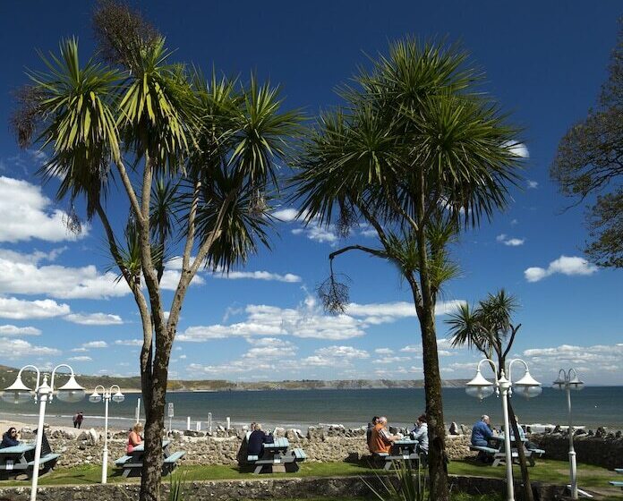 Отель Oxwich Bay