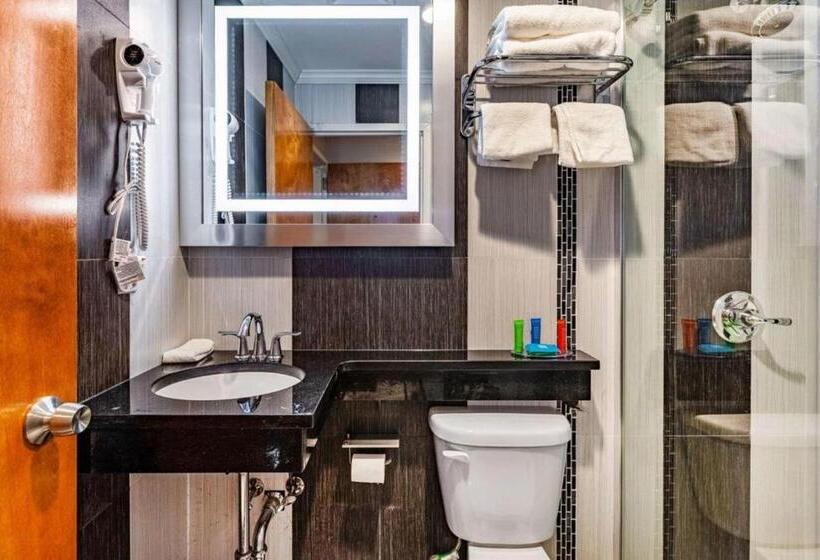 Umbrella Hotel Brooklyn