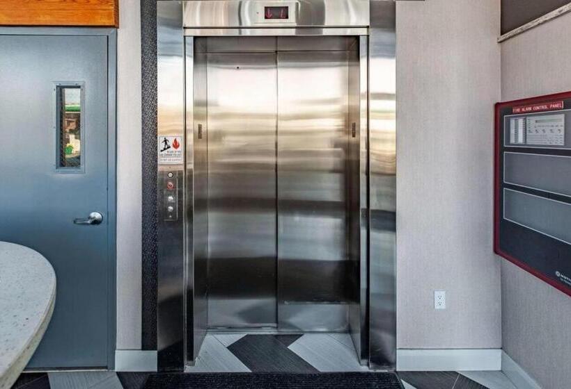 Umbrella Hotel Brooklyn