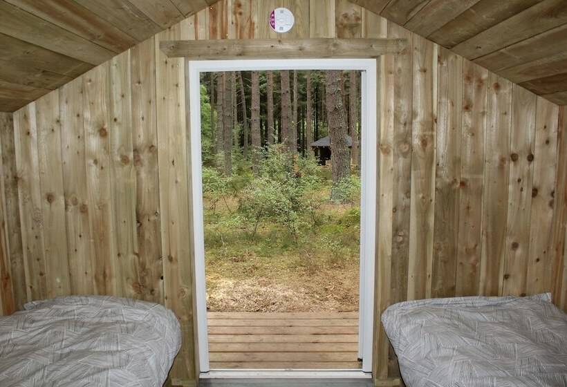 Отель Wildwoodz Cabins