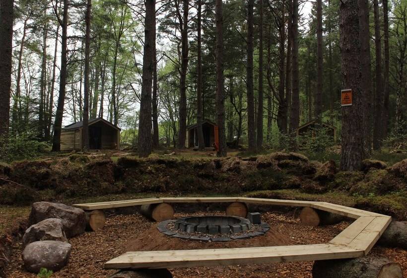 Отель Wildwoodz Cabins