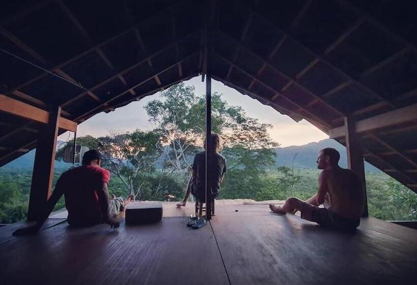 Kombi Hostel Camping