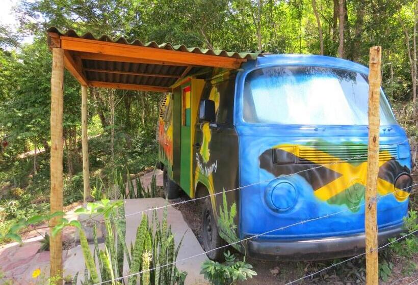 Kombi Hostel Camping