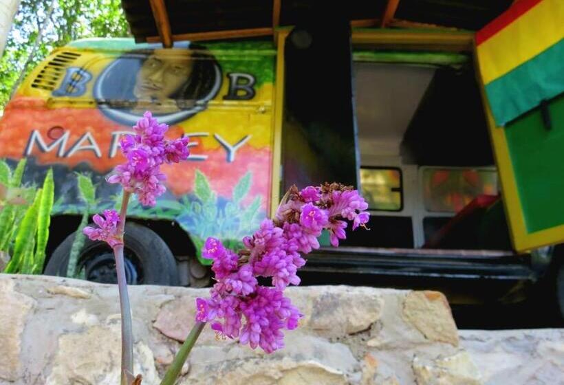 Kombi Hostel Camping