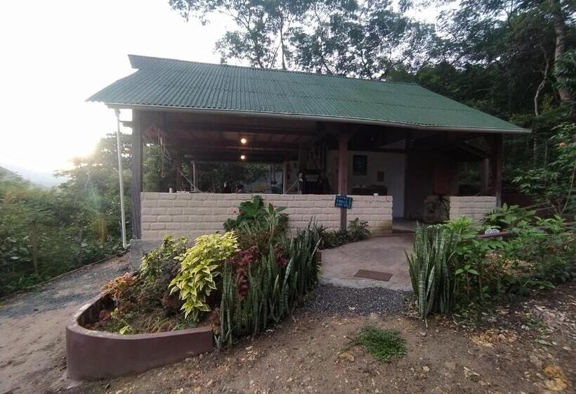 Kombi Hostel Camping