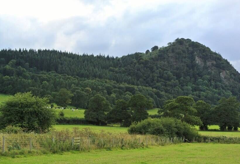 ペンション Brimford House