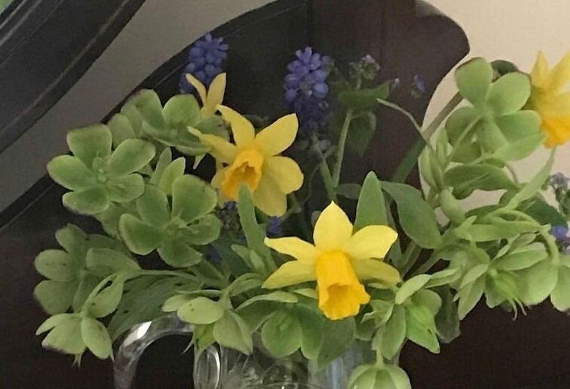 ペンション Brimford House