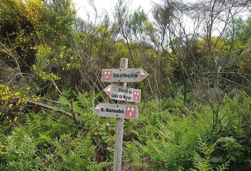 פנסיון Paço Da Torre De Figueiredo Das Donas