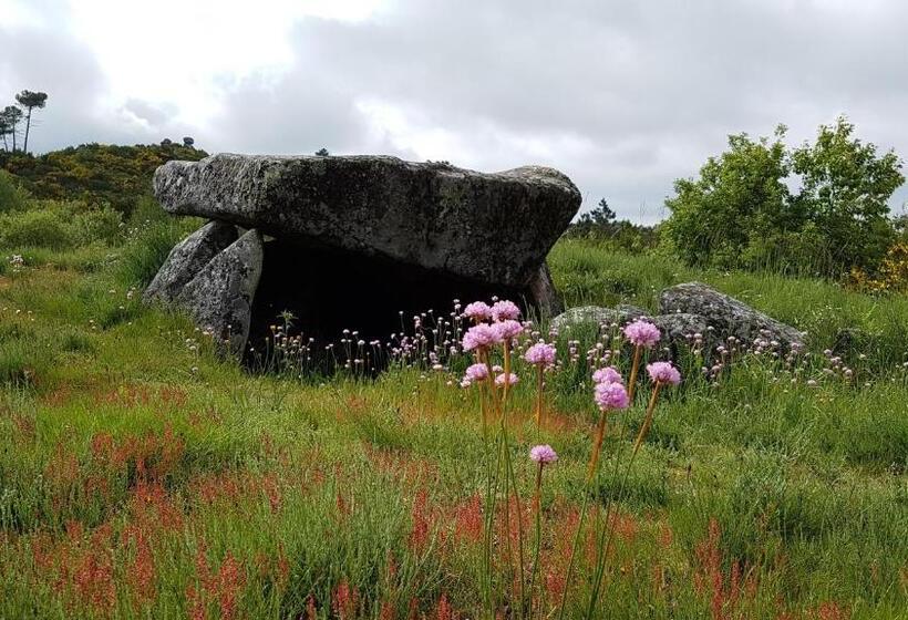 פנסיון Paço Da Torre De Figueiredo Das Donas