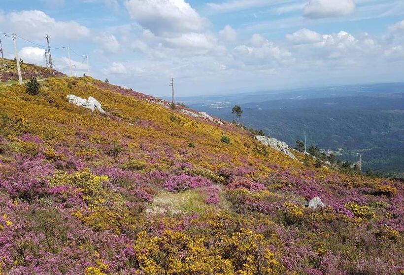 פנסיון Paço Da Torre De Figueiredo Das Donas
