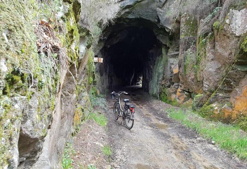 פנסיון Paço Da Torre De Figueiredo Das Donas