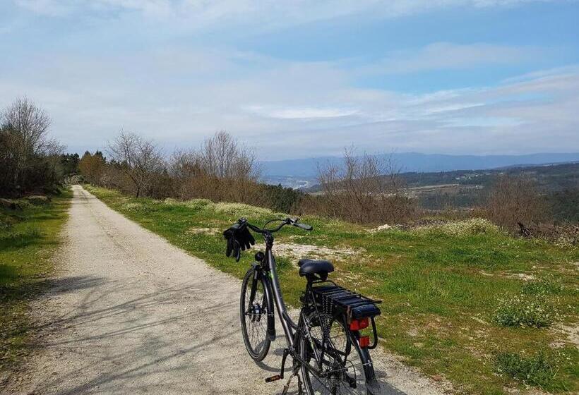 פנסיון Paço Da Torre De Figueiredo Das Donas