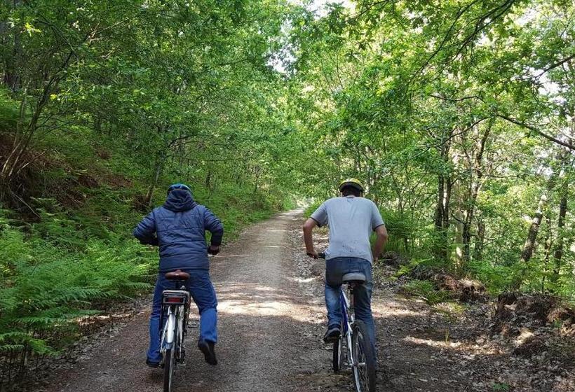 פנסיון Paço Da Torre De Figueiredo Das Donas
