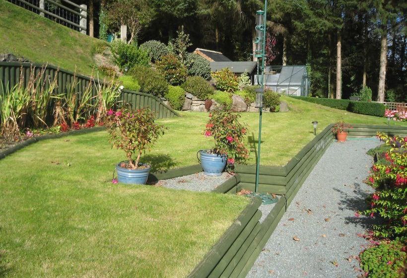 Tan Y Graig Bed & Breakfast