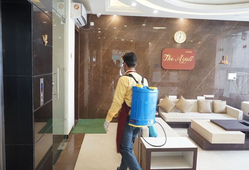 فندق The Ayali Prime